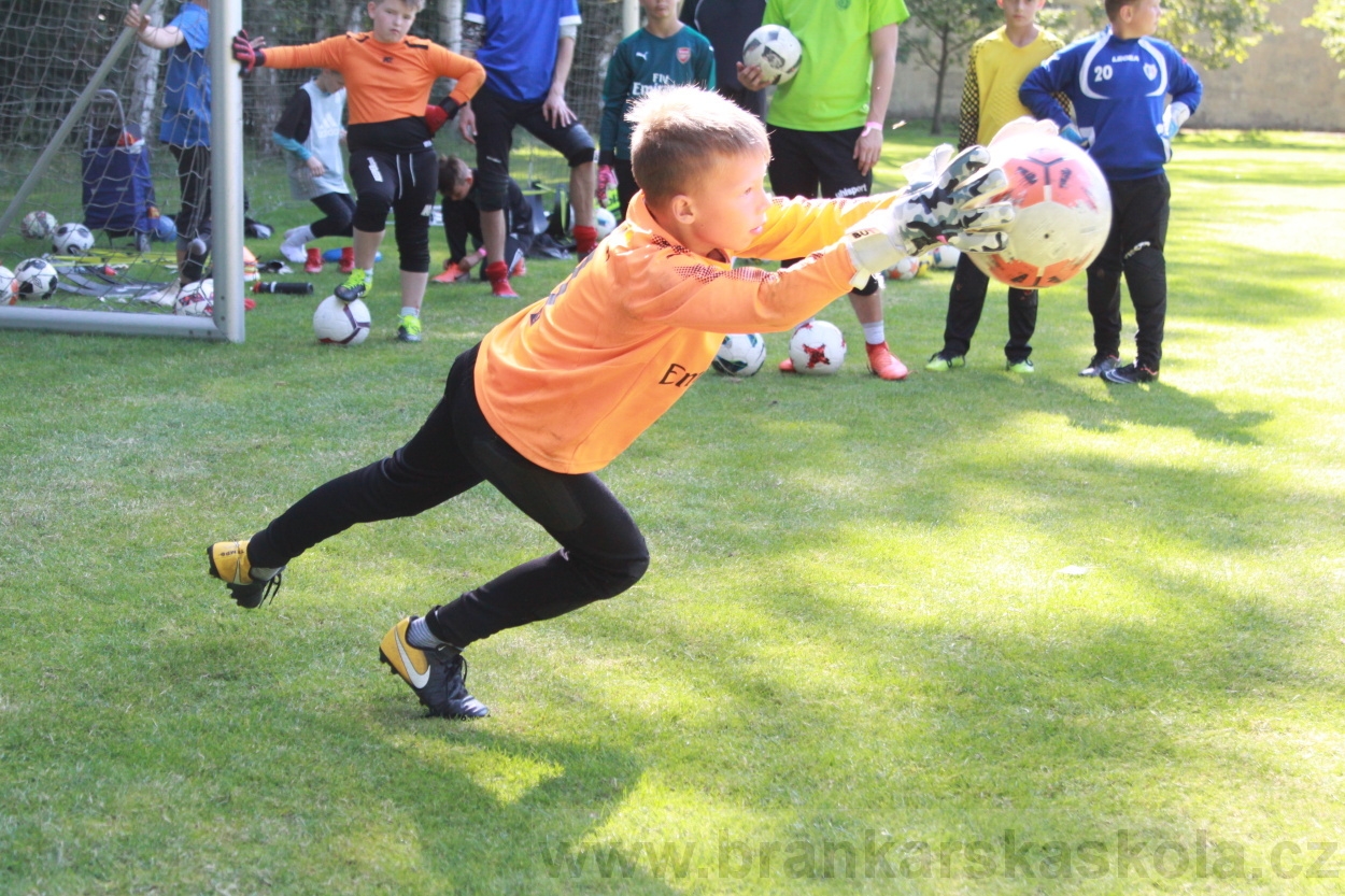 BFŠJCH - Léto 2019 - 6.7.2019