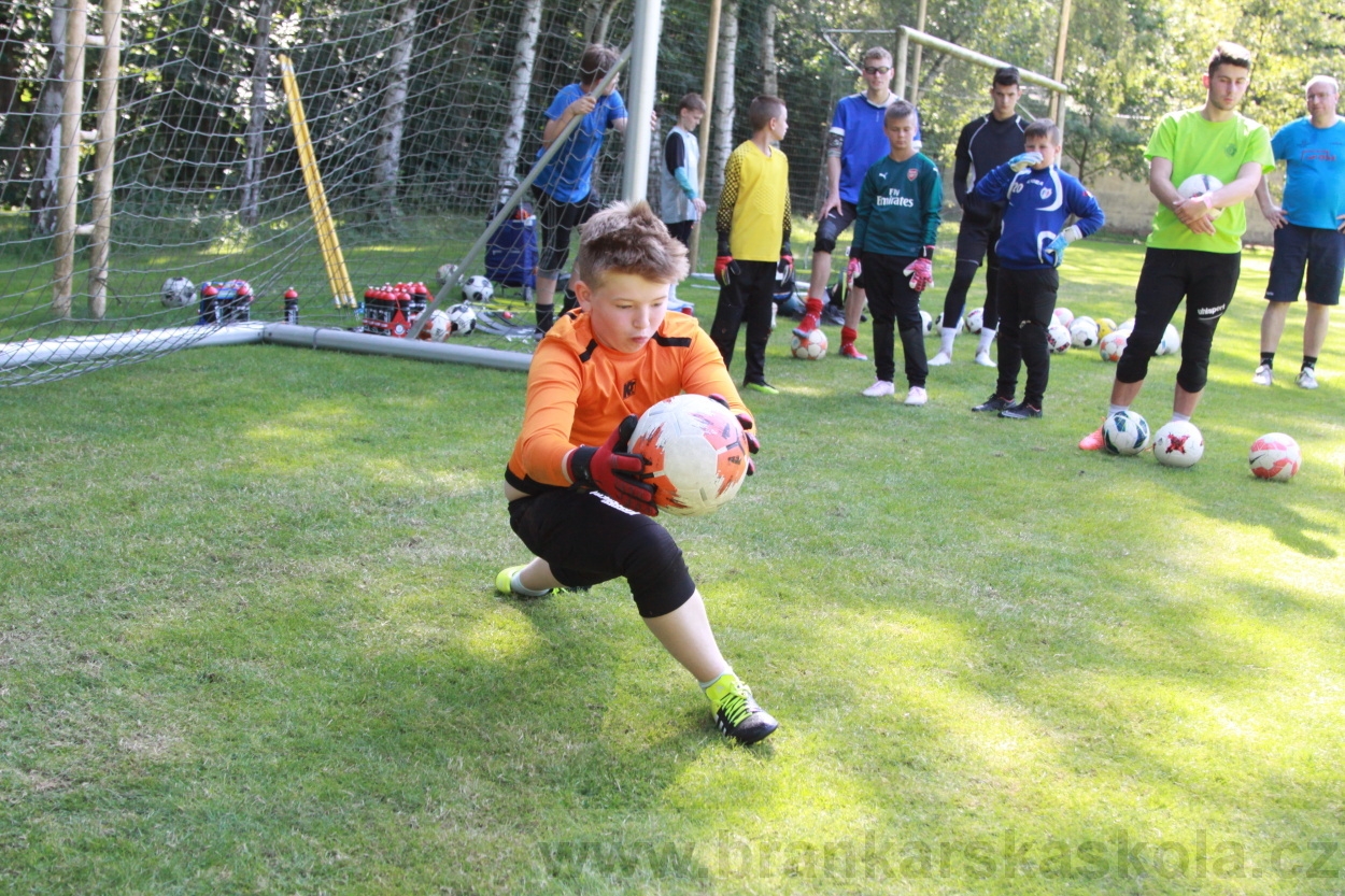 BFŠJCH - Léto 2019 - 6.7.2019