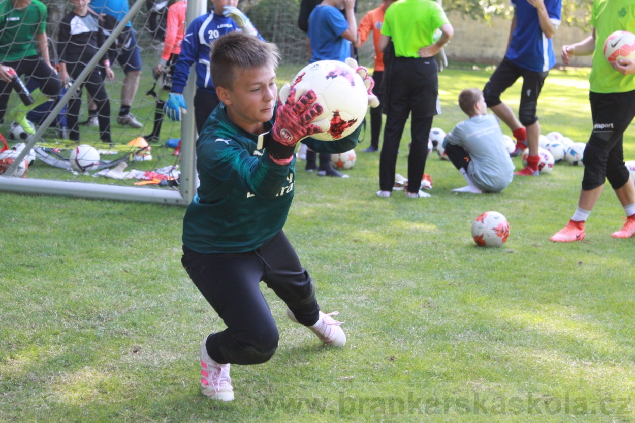 BFŠJCH - Léto 2019 - 6.7.2019