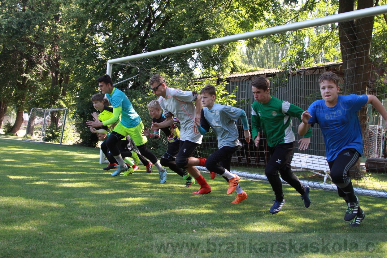 BFŠJCH - Léto 2019 - 6.7.2019