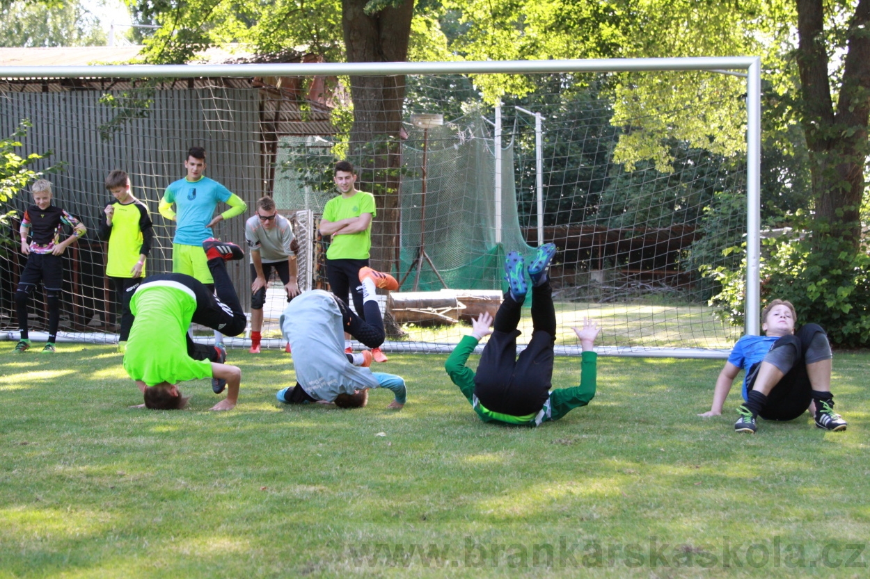 BFŠJCH - Léto 2019 - 6.7.2019