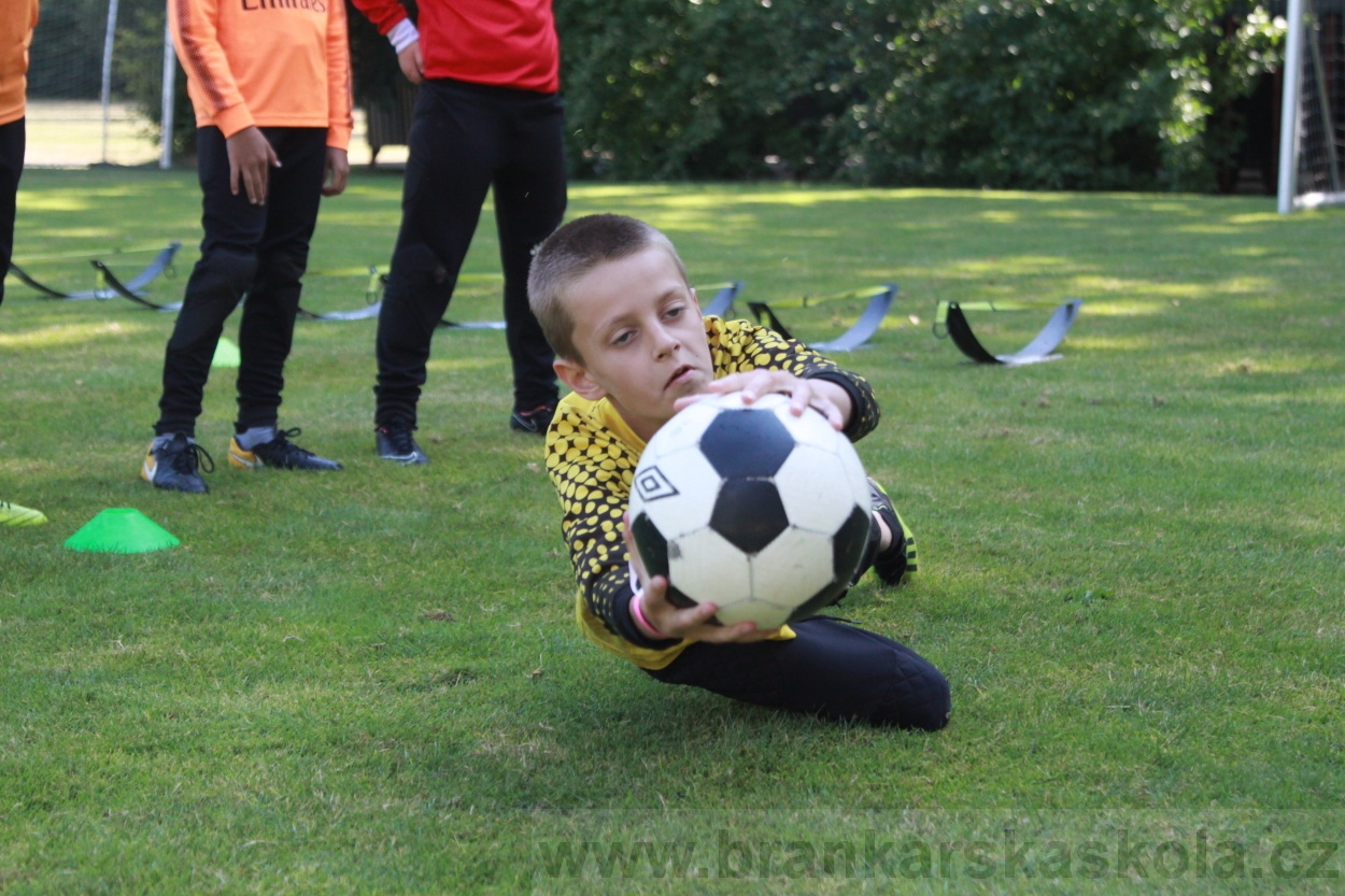 BFŠJCH - Léto 2019 - 6.7.2019