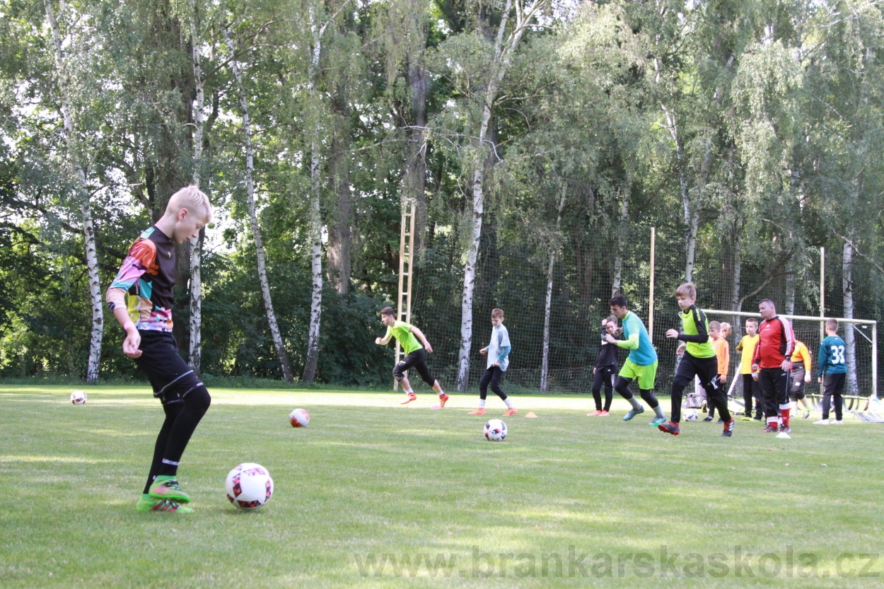 BFŠJCH - Léto 2019 - 6.7.2019