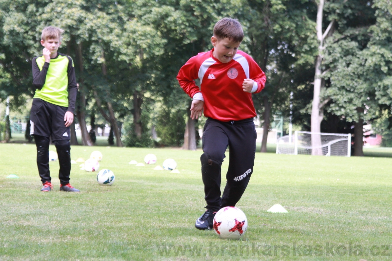 BFŠJCH - Léto 2019 - 6.7.2019