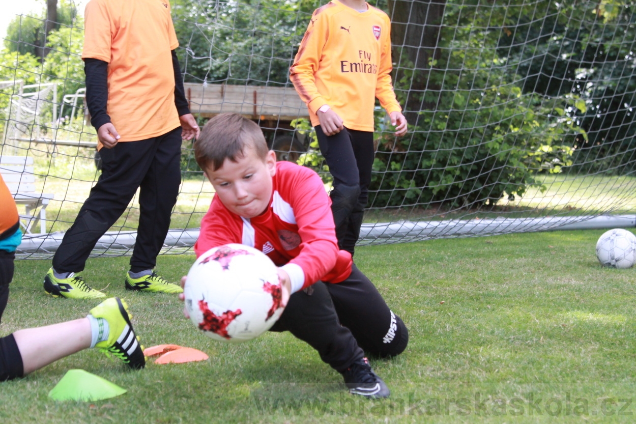 BFŠJCH - Léto 2019 - 6.7.2019