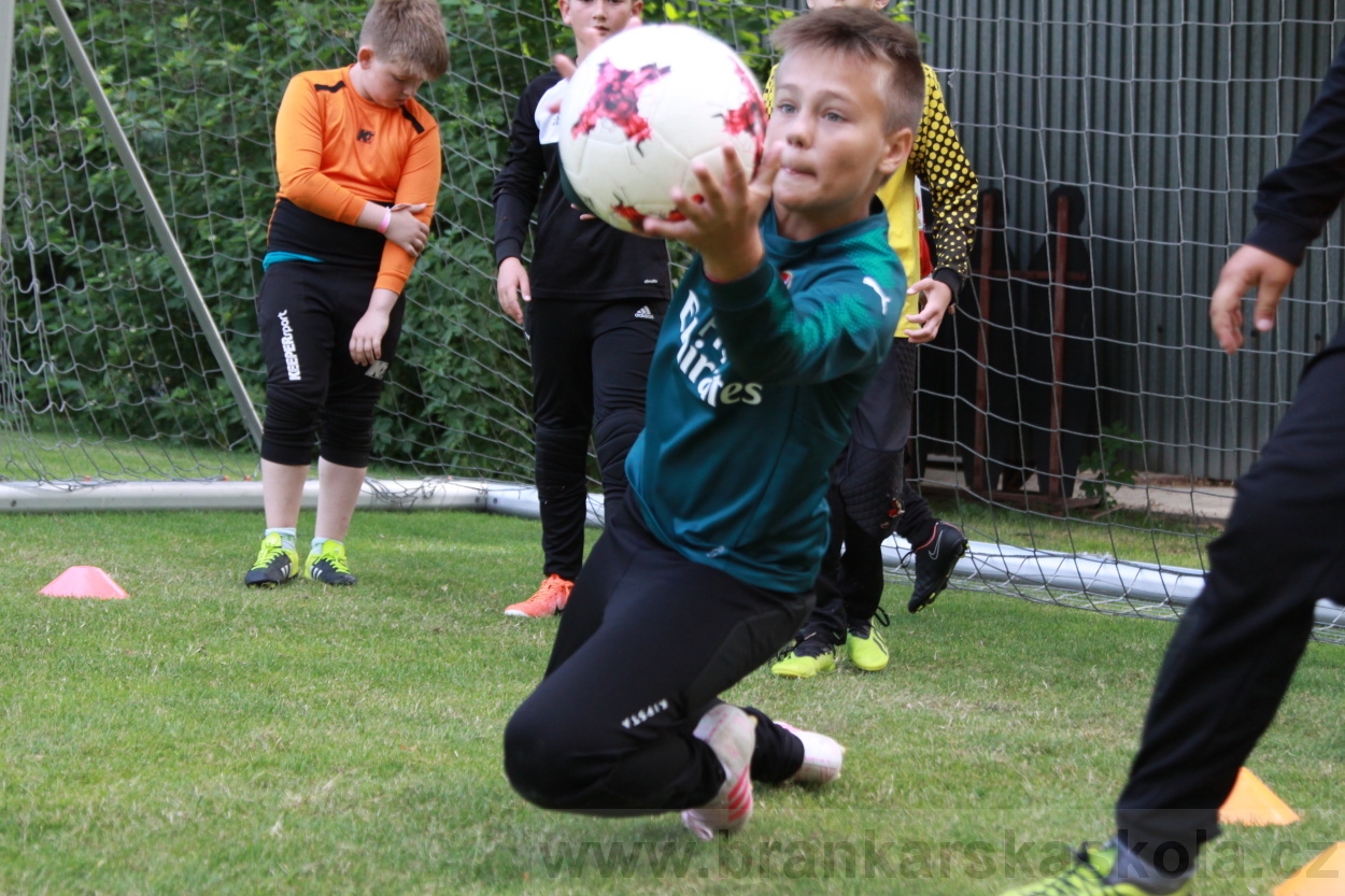 BFŠJCH - Léto 2019 - 6.7.2019