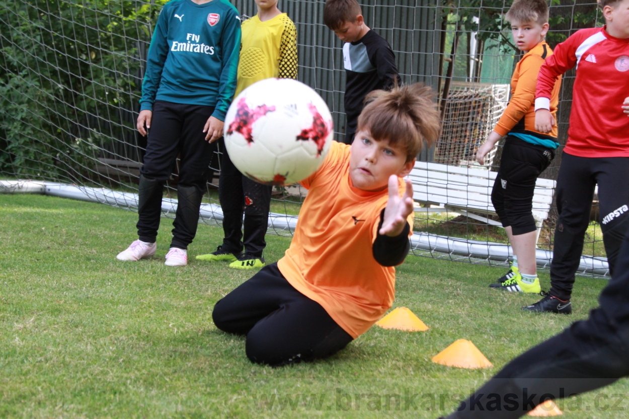 BFŠJCH - Léto 2019 - 6.7.2019