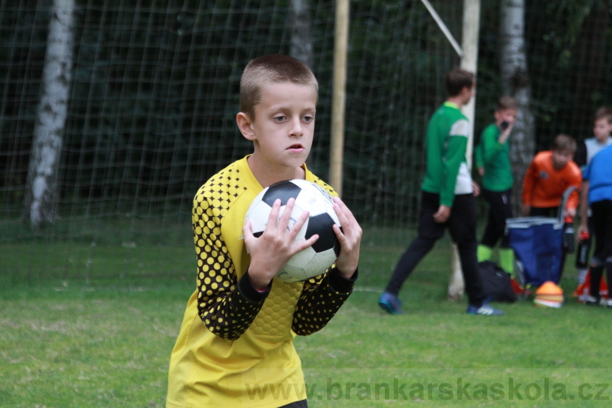 BFŠJCH - Léto 2019 - 7.7.2019