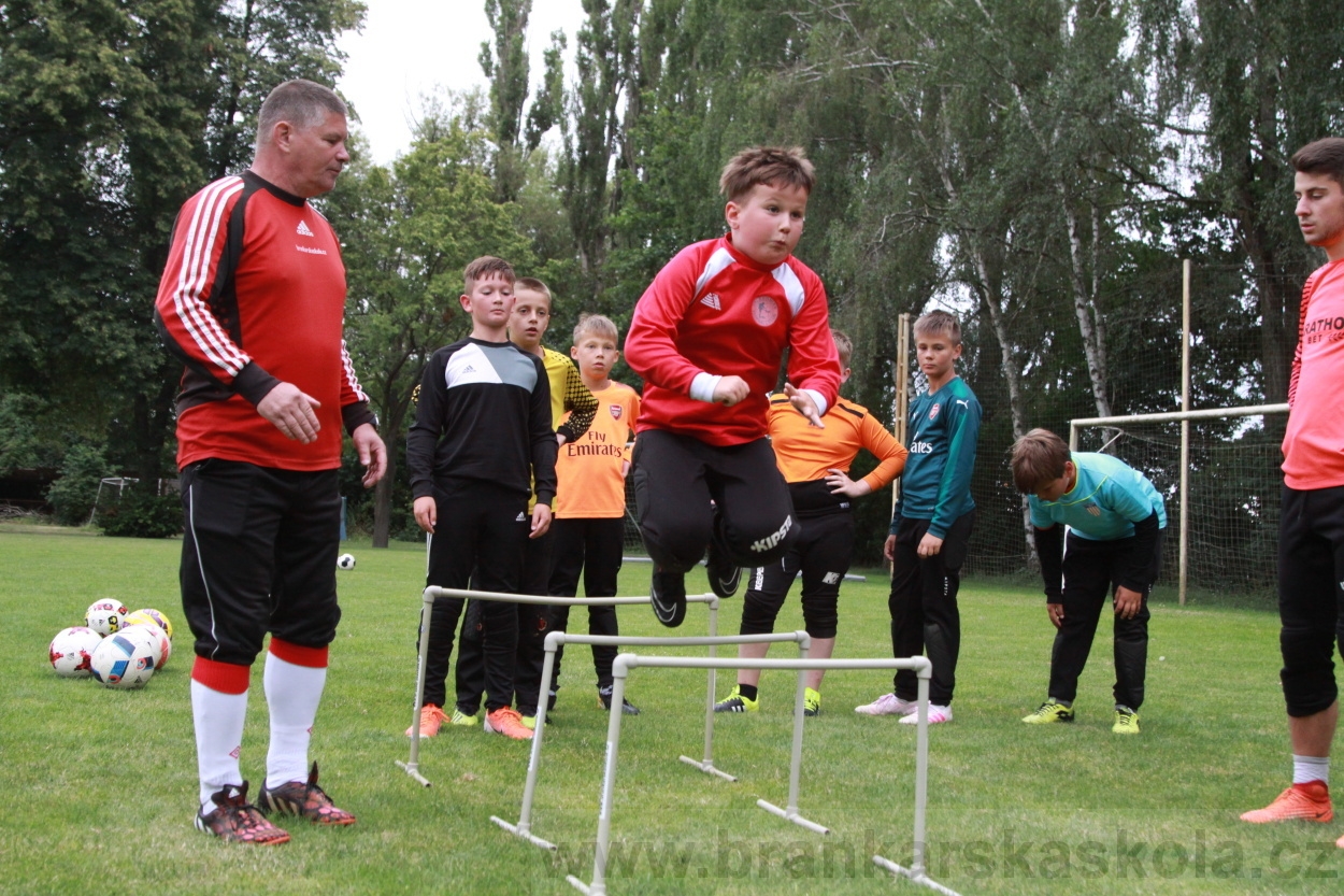 BFŠJCH - Léto 2019 - 7.7.2019