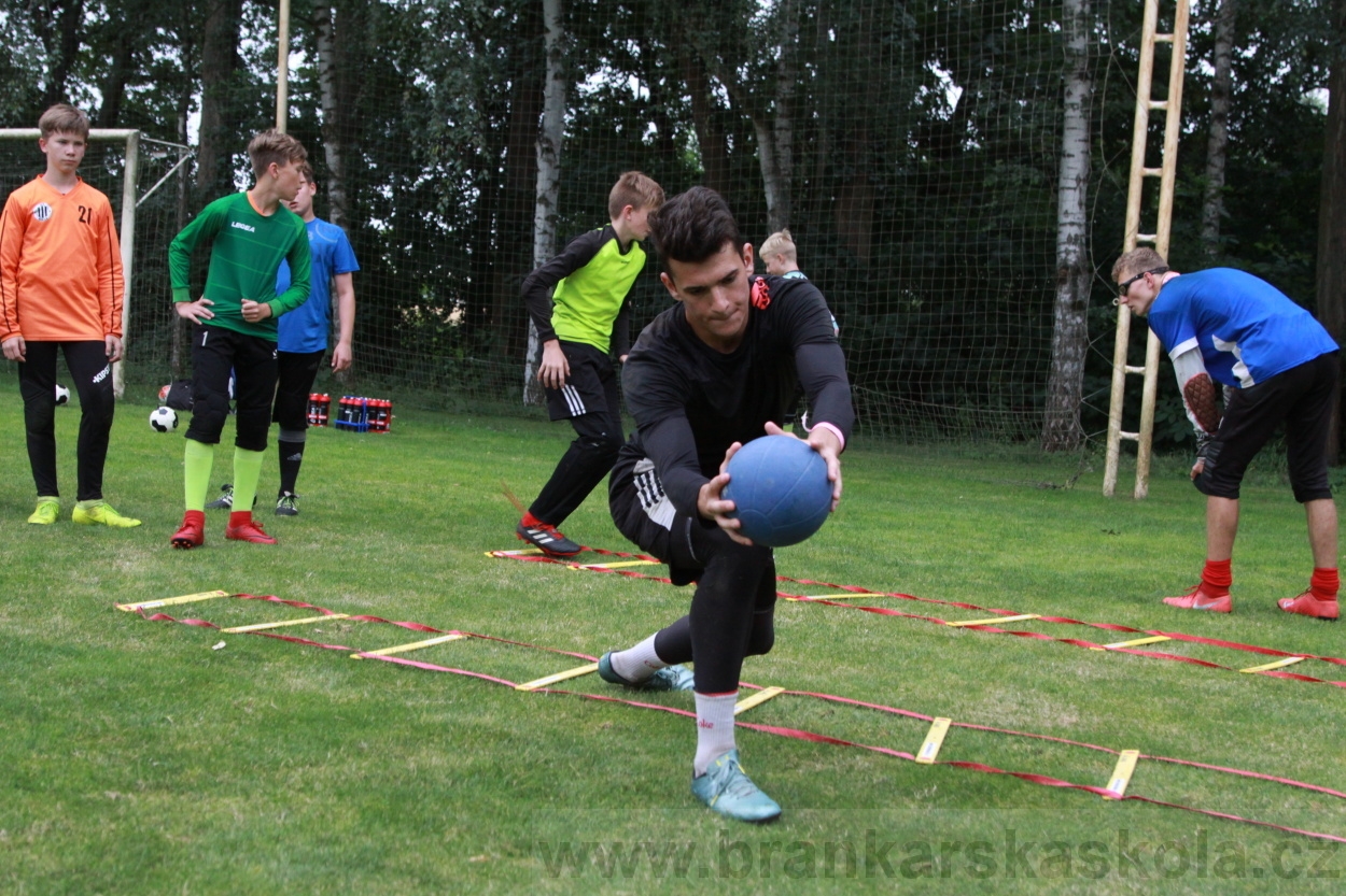 BFŠJCH - Léto 2019 - 7.7.2019