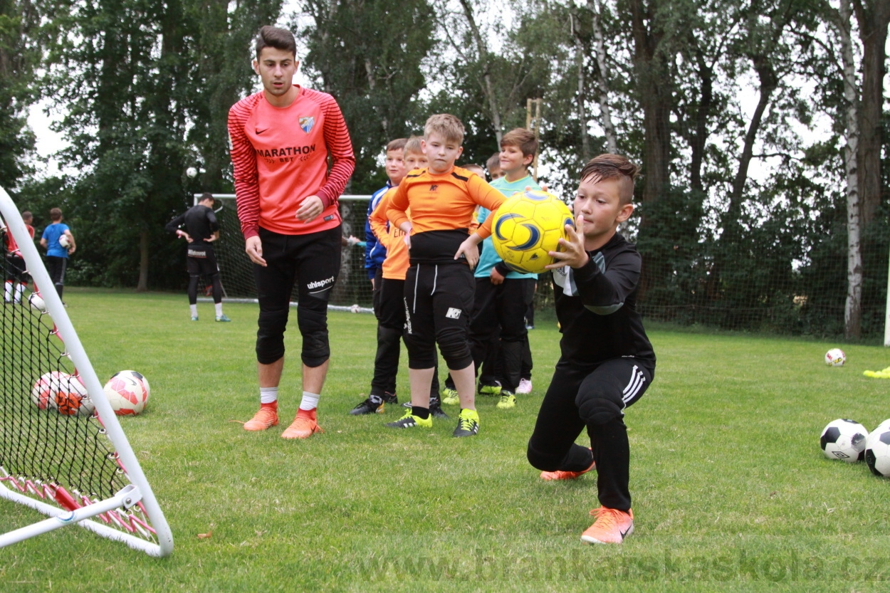 BFŠJCH - Léto 2019 - 7.7.2019