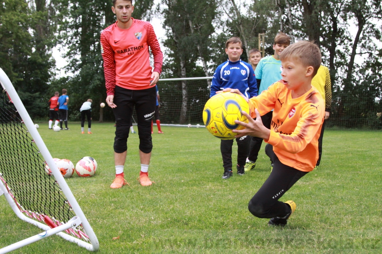 BFŠJCH - Léto 2019 - 7.7.2019