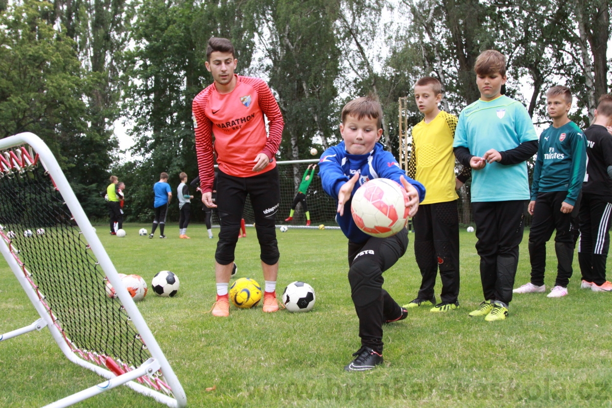 BFŠJCH - Léto 2019 - 7.7.2019