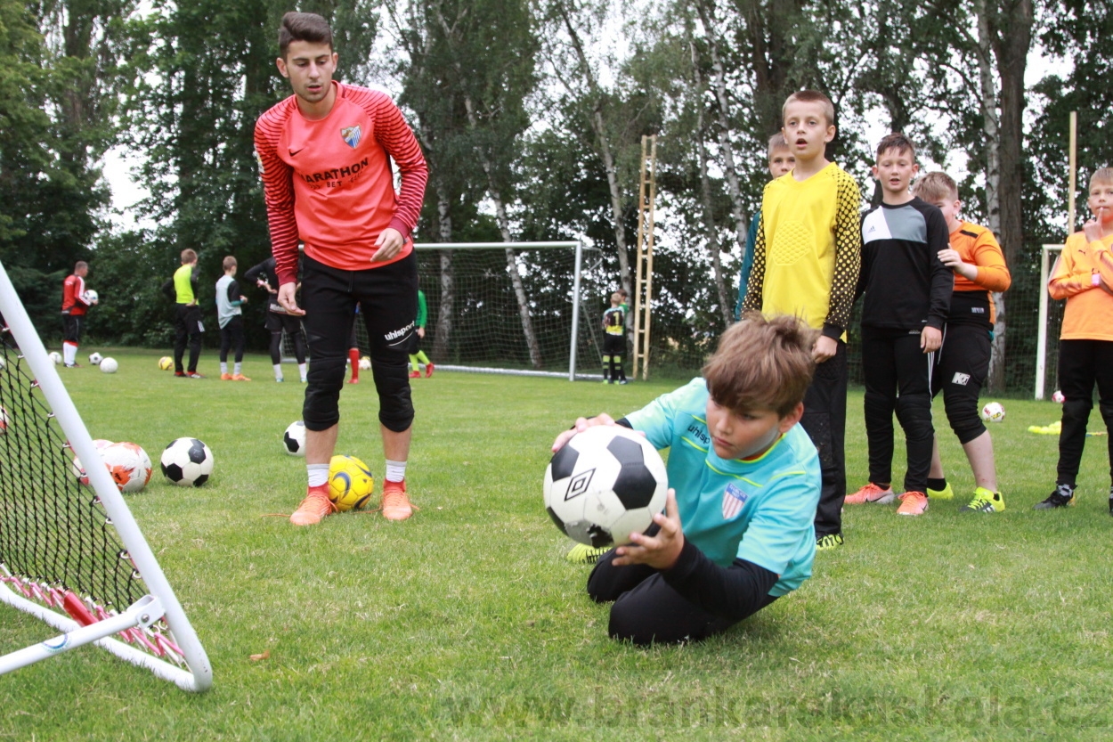 BFŠJCH - Léto 2019 - 7.7.2019