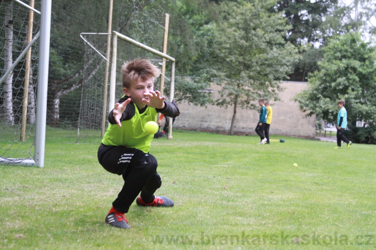 BFŠJCH - Léto 2019 - 7.7.2019