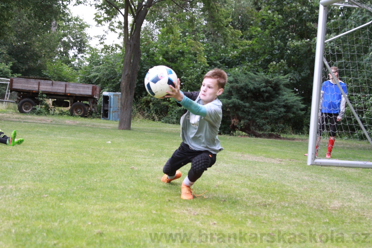 BFŠJCH - Léto 2019 - 7.7.2019