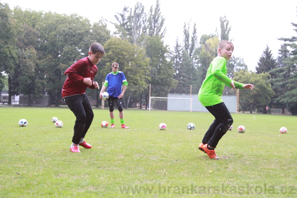 BFŠJCH - Léto 2019 - 4.8.2019