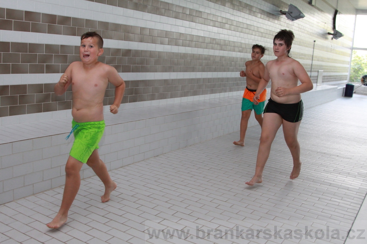 BFŠJCH - Léto 2019 - 4.8.2019