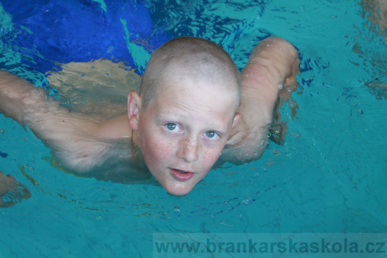 BFŠJCH - Léto 2019 - 4.8.2019