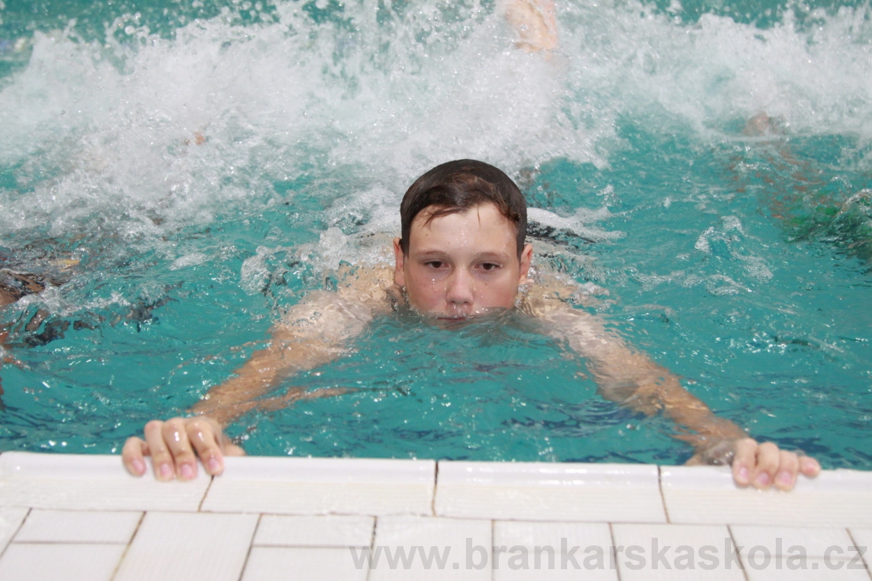 BFŠJCH - Léto 2019 - 4.8.2019