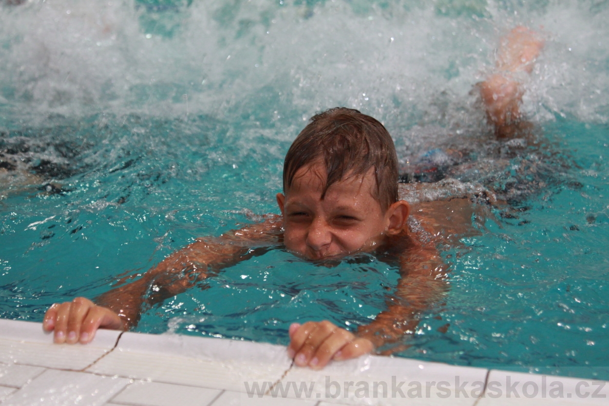 BFŠJCH - Léto 2019 - 4.8.2019