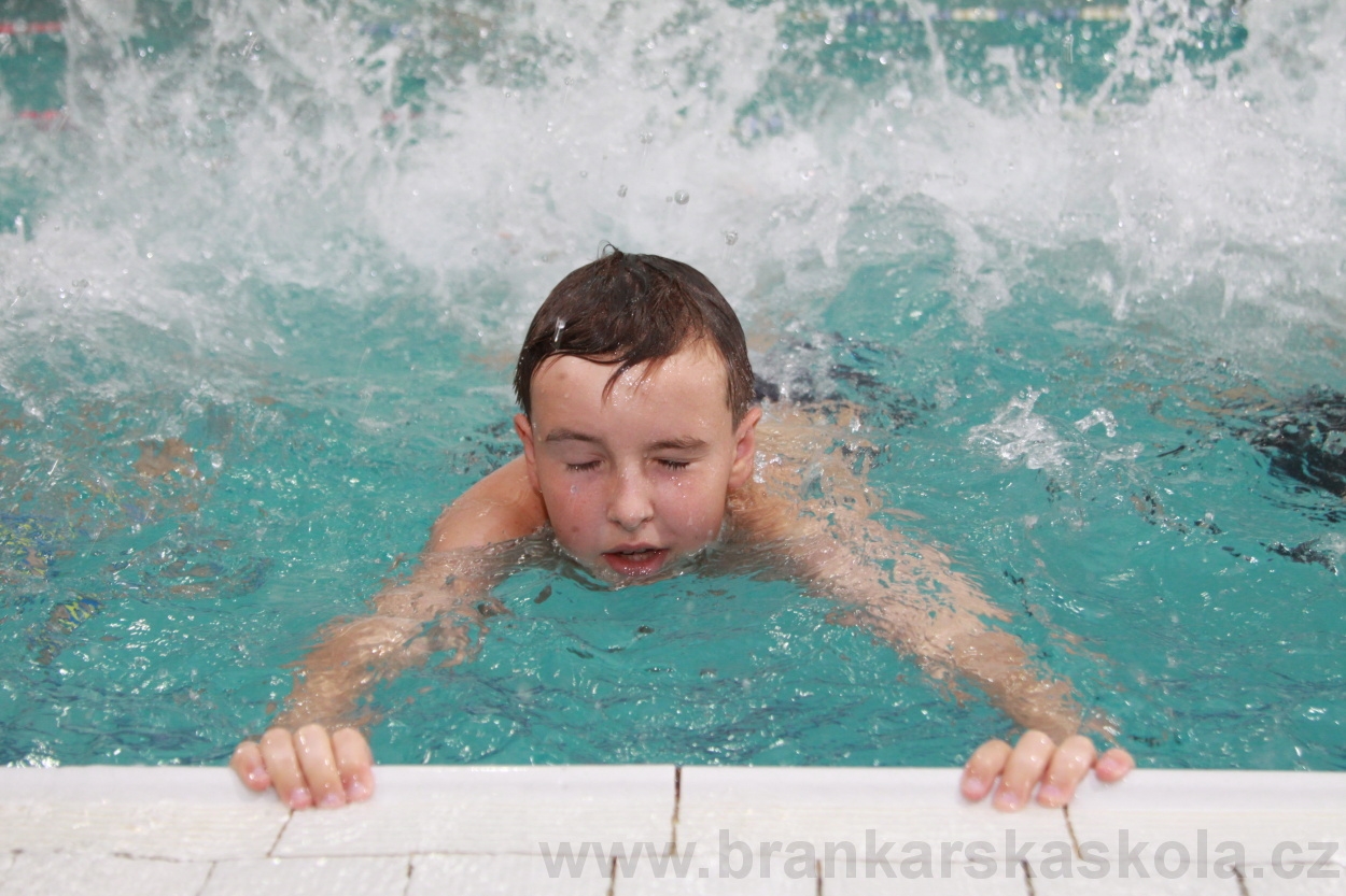 BFŠJCH - Léto 2019 - 4.8.2019