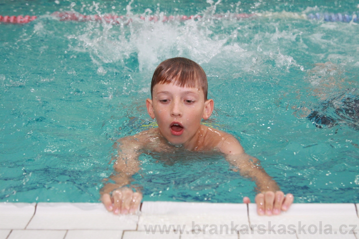 BFŠJCH - Léto 2019 - 4.8.2019