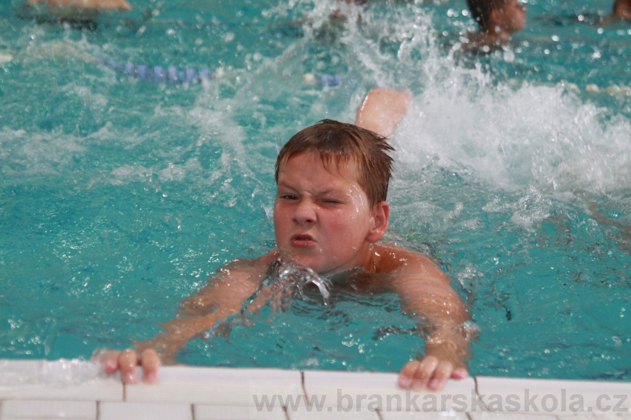 BFŠJCH - Léto 2019 - 4.8.2019