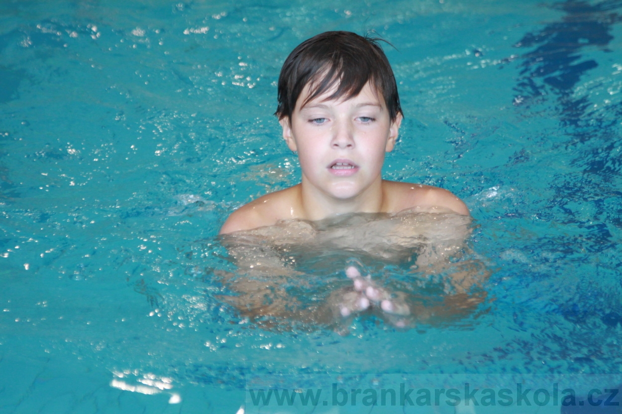 BFŠJCH - Léto 2019 - 4.8.2019