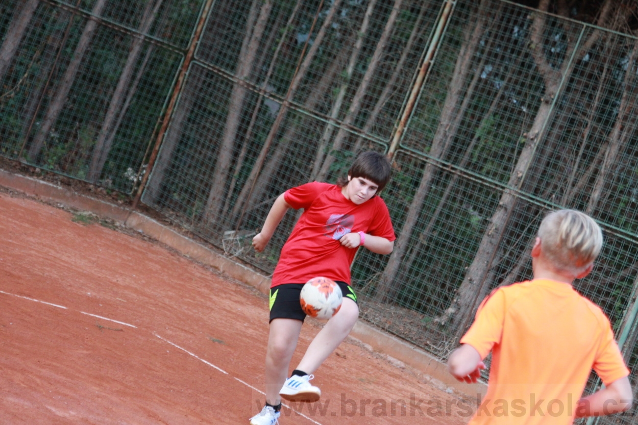 BFŠJCH - Léto 2019 - 4.8.2019