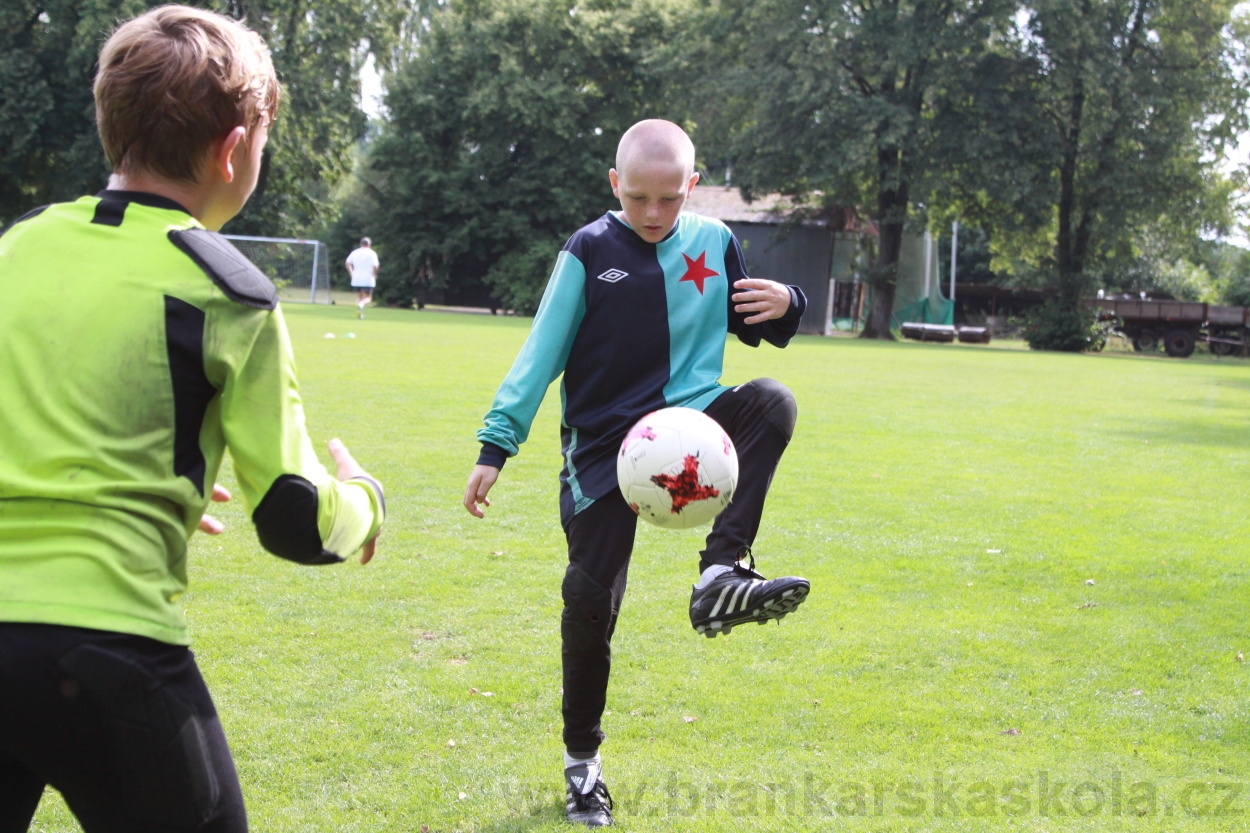 BFŠJCH - Léto 2019 - 7.8.2019