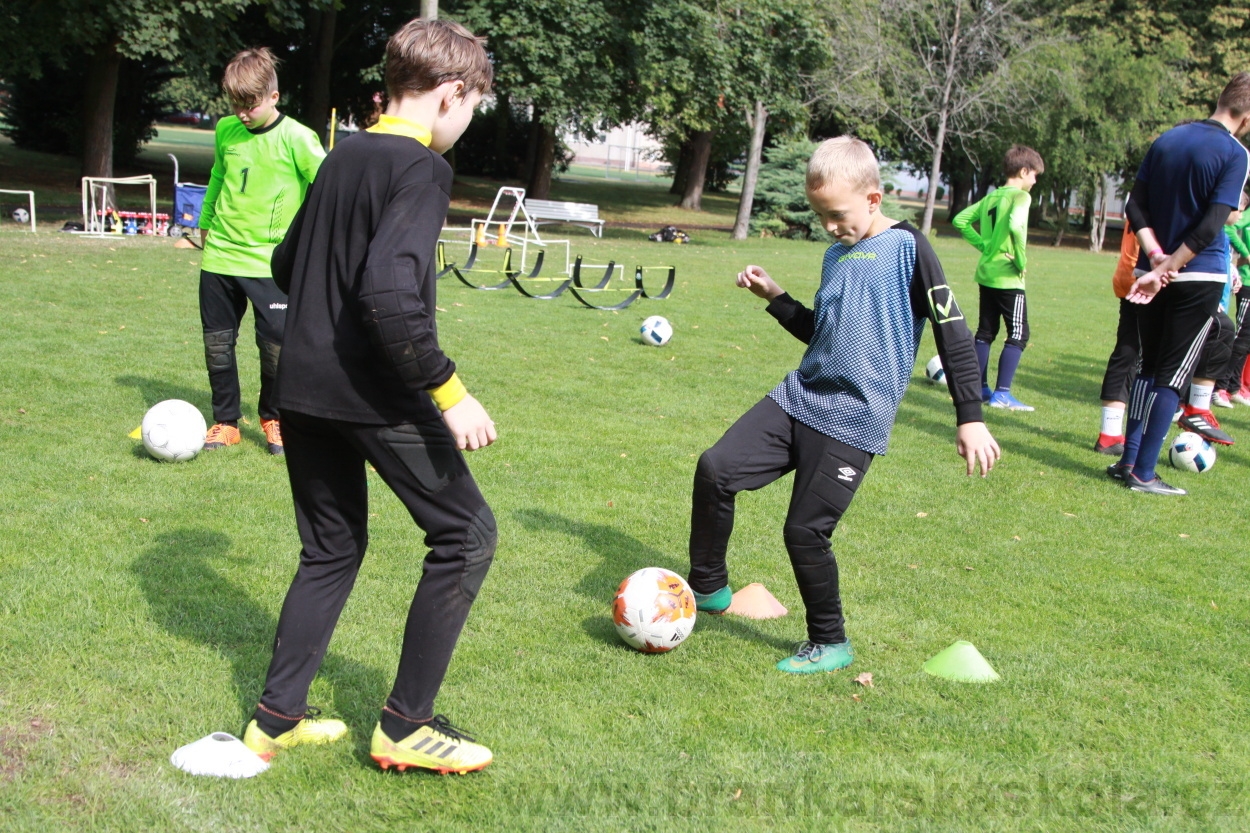 BFŠJCH - Léto 2019 - 7.8.2019