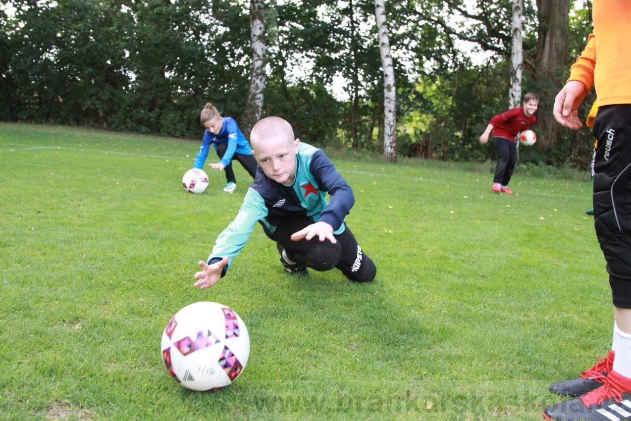 BFŠJCH - Léto 2019 - 7.8.2019