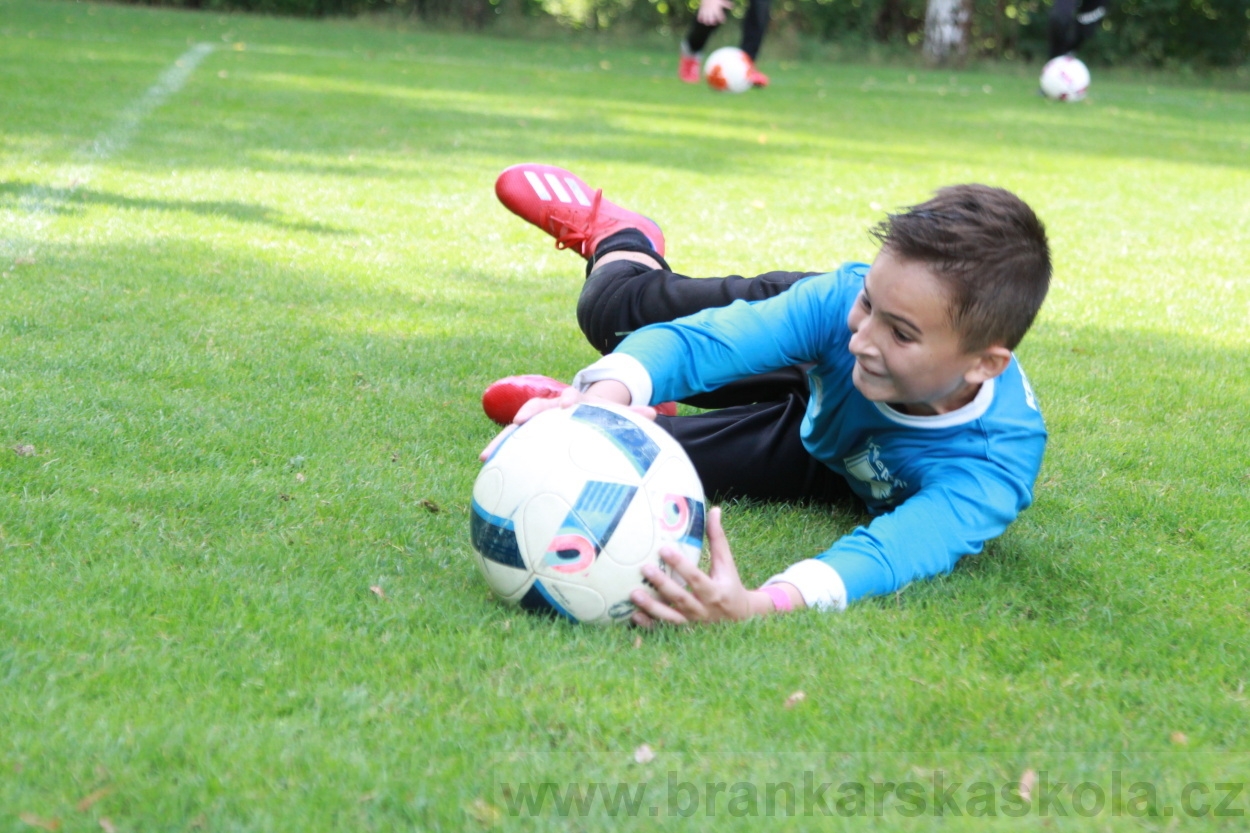 BFŠJCH - Léto 2019 - 7.8.2019