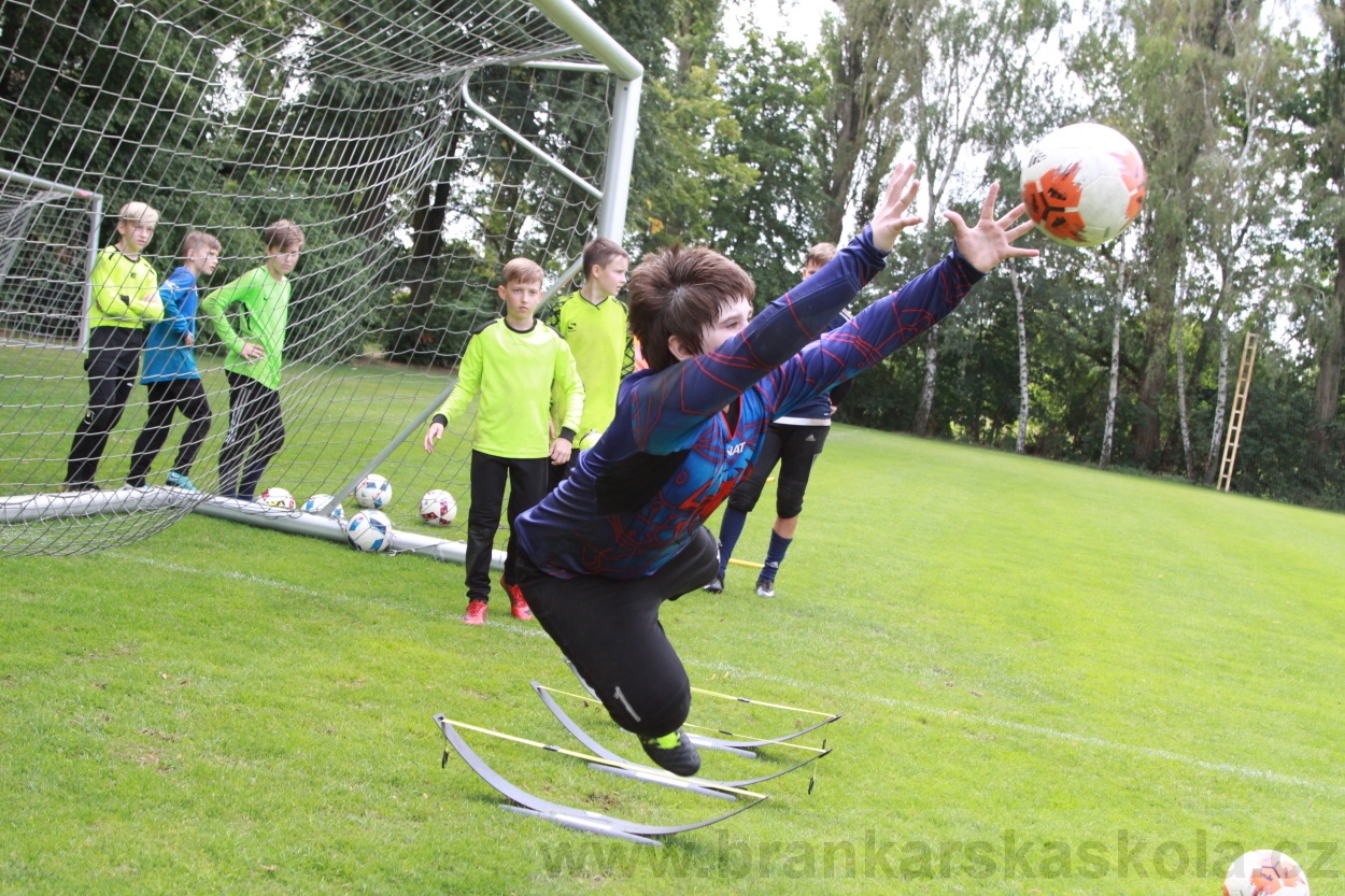 BFŠJCH - Léto 2019 - 7.8.2019