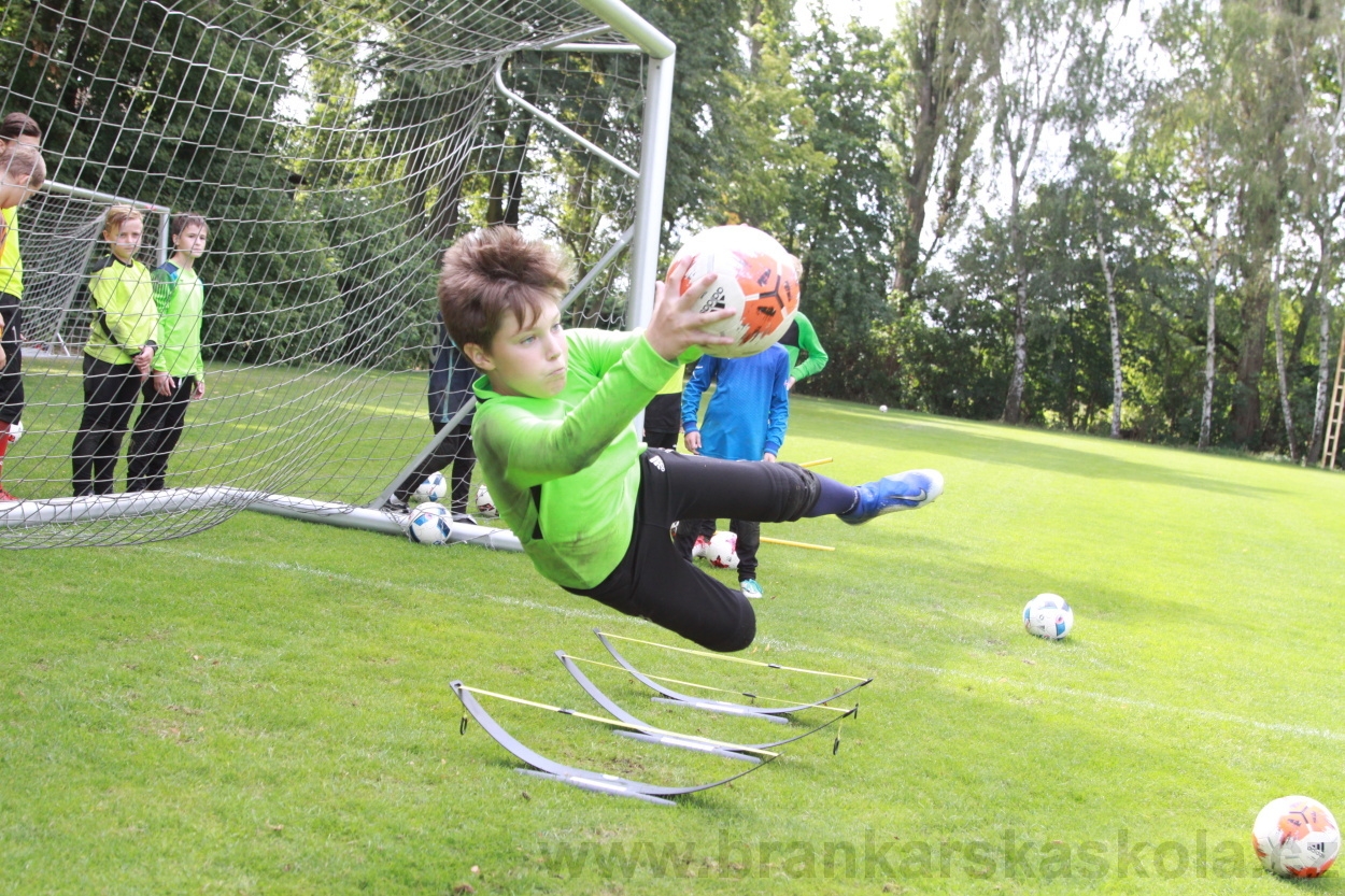 BFŠJCH - Léto 2019 - 7.8.2019