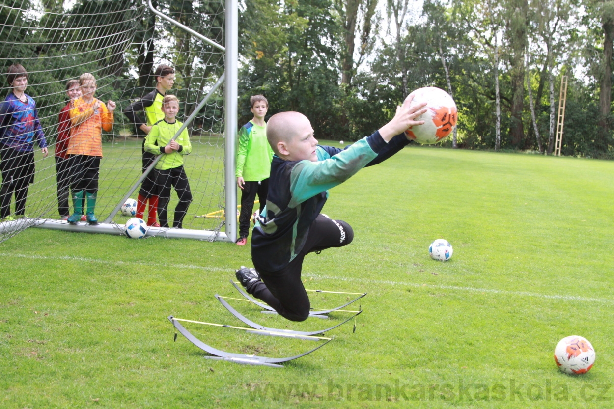 BFŠJCH - Léto 2019 - 7.8.2019