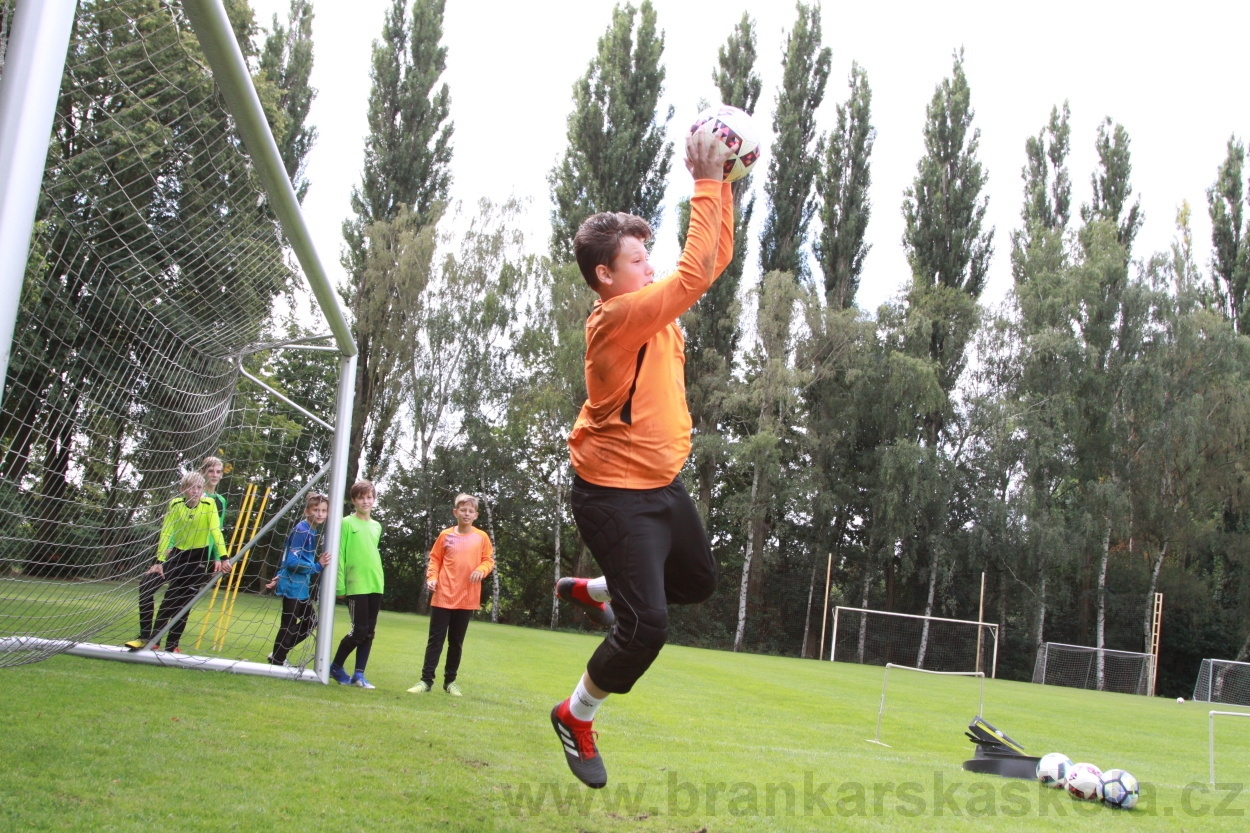 BFŠJCH - Léto 2019 - 7.8.2019