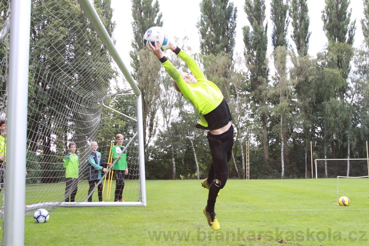 BFŠJCH - Léto 2019 - 7.8.2019