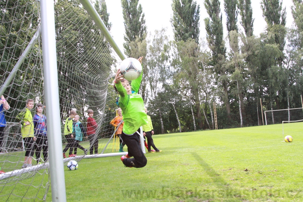 BFŠJCH - Léto 2019 - 7.8.2019