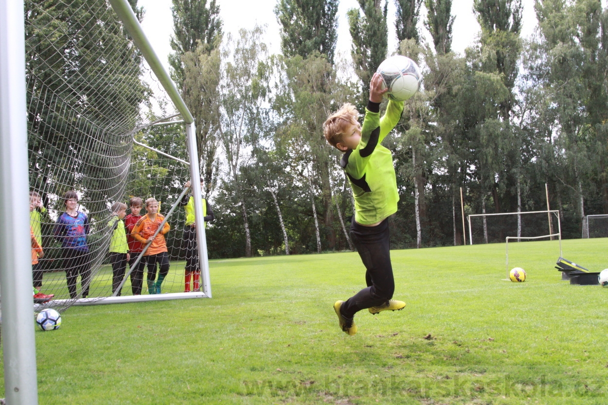 BFŠJCH - Léto 2019 - 7.8.2019