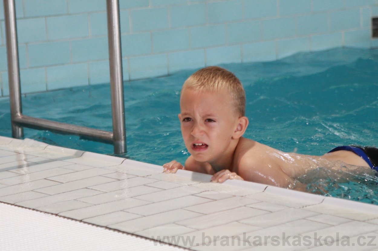 BFŠJCH - Léto 2019 - 7.8.2019