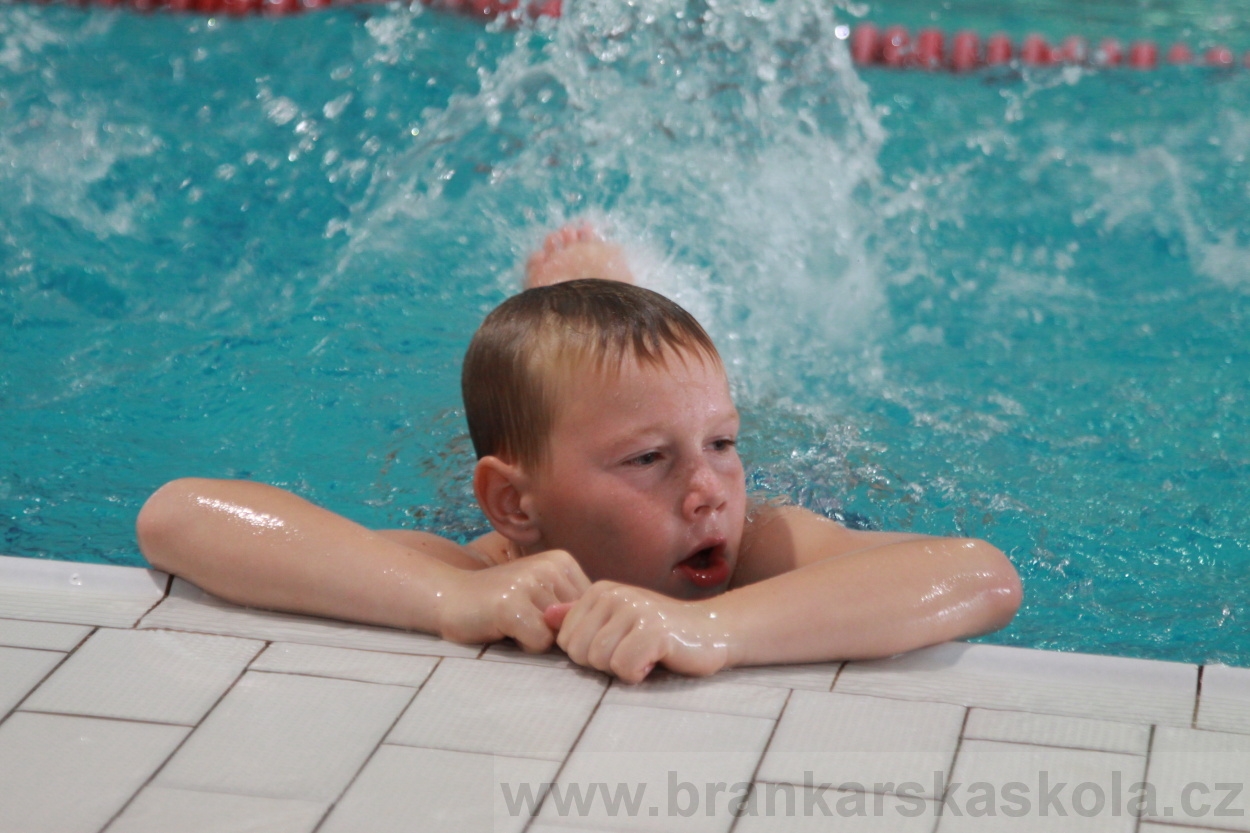 BFŠJCH - Léto 2019 - 7.8.2019