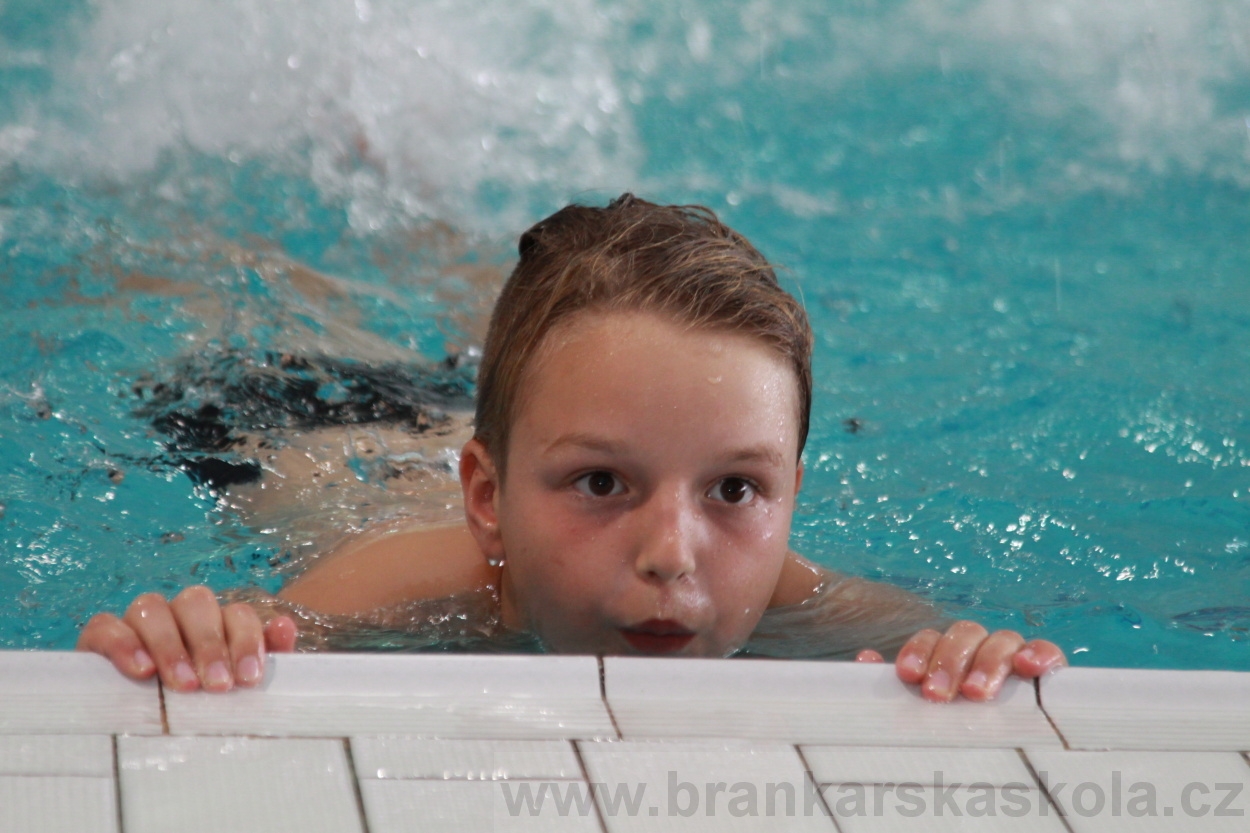 BFŠJCH - Léto 2019 - 7.8.2019