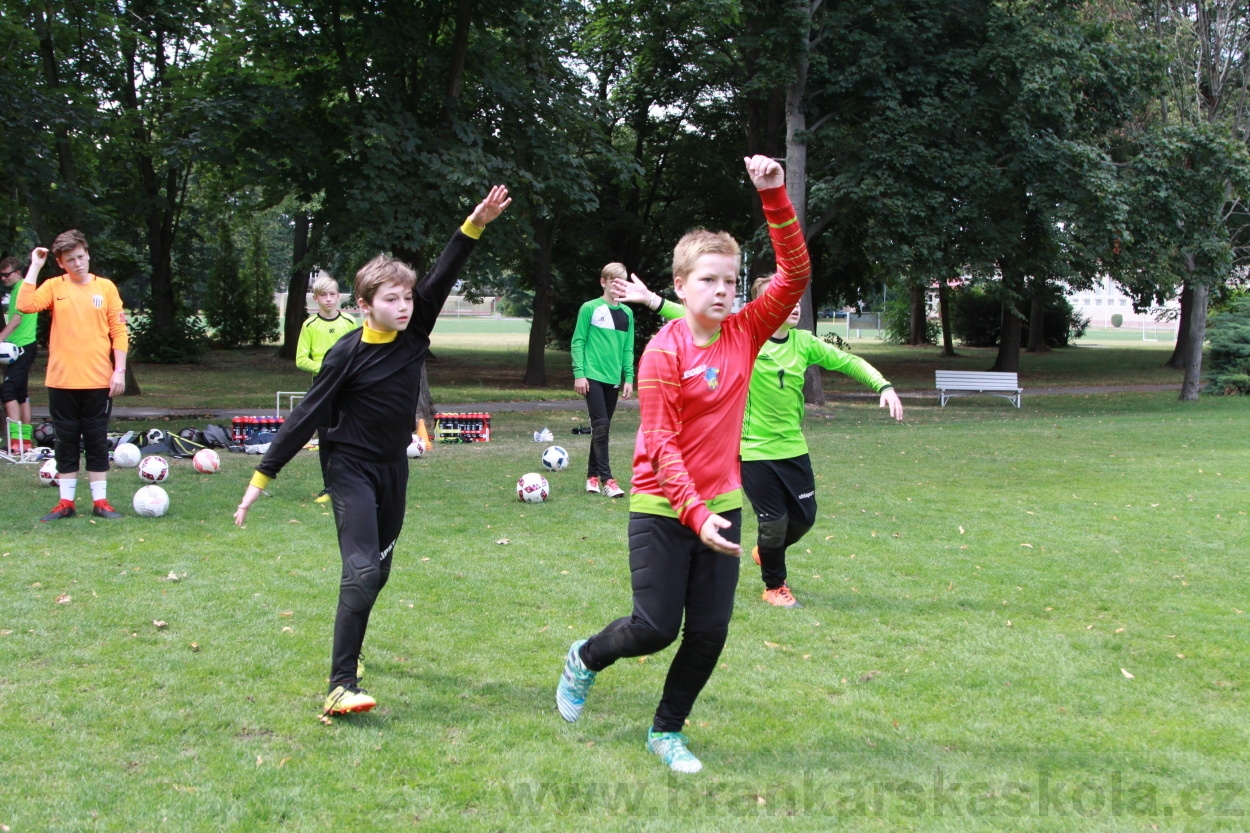 BFŠJCH - Léto 2019 - 7.8.2019