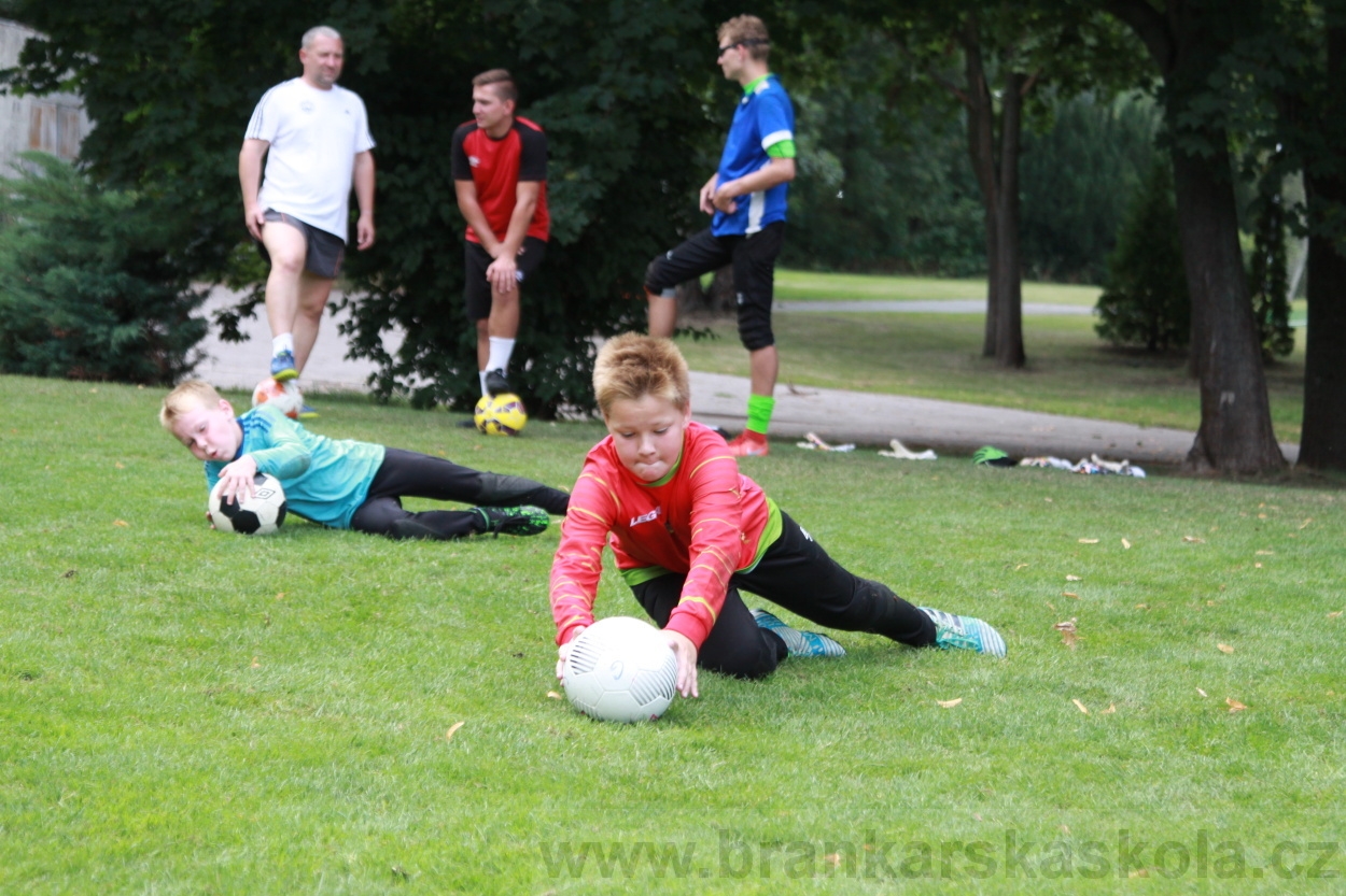 BFŠJCH - Léto 2019 - 7.8.2019