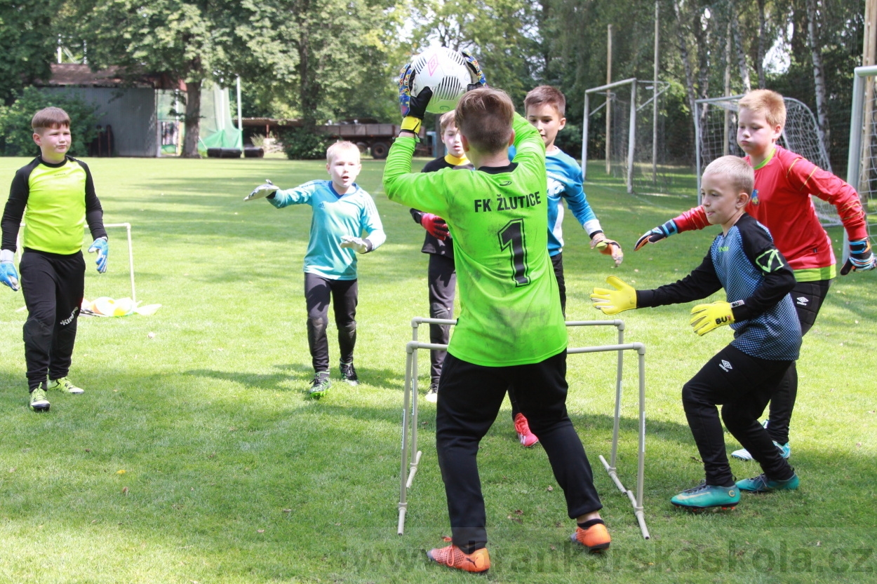 BFŠJCH - Léto 2019 - 7.8.2019