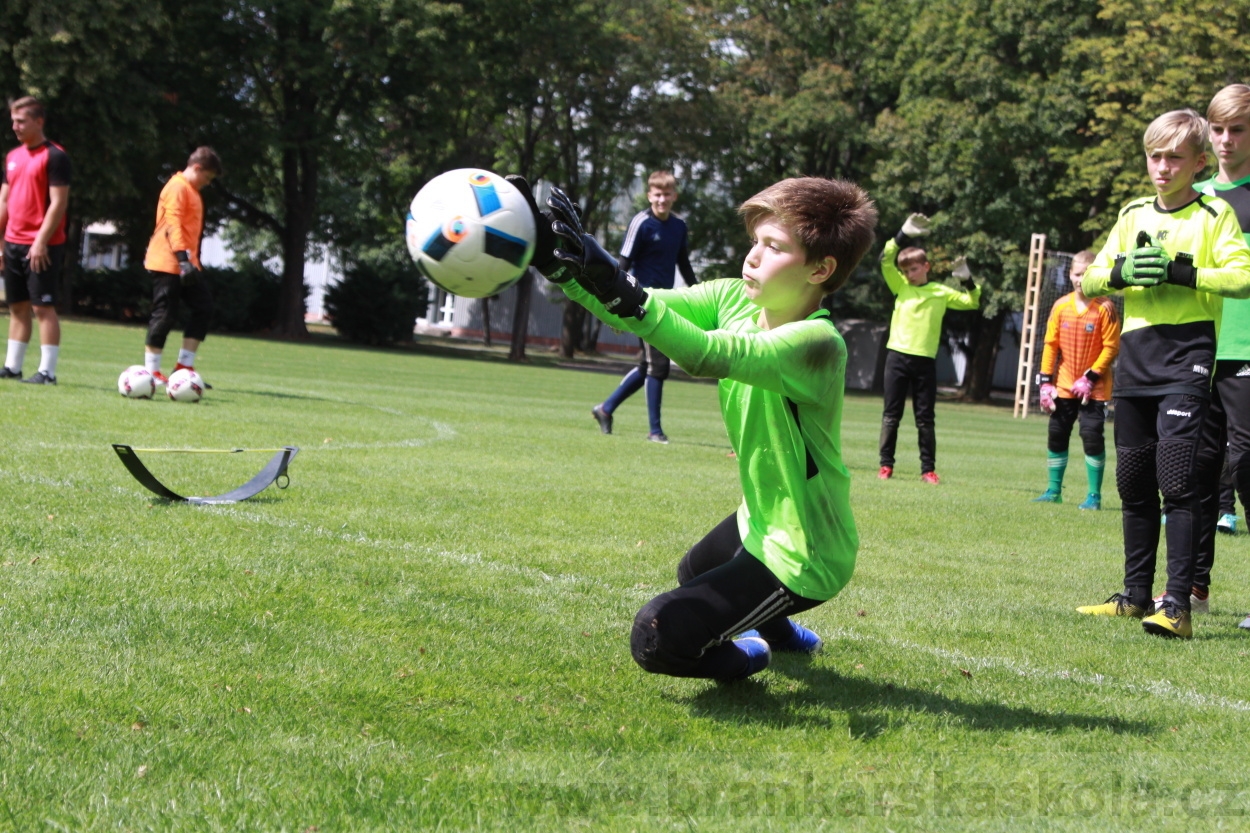 BFŠJCH - Léto 2019 - 7.8.2019
