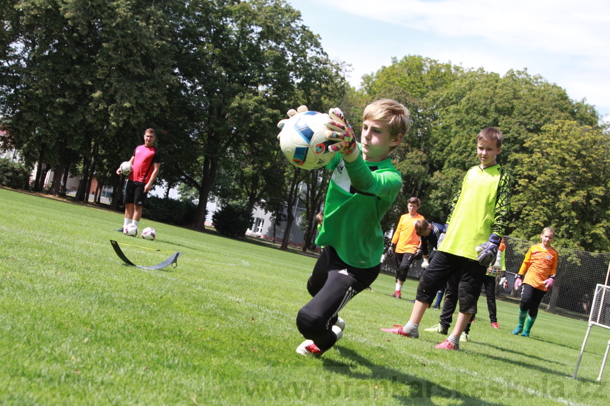 BFŠJCH - Léto 2019 - 7.8.2019