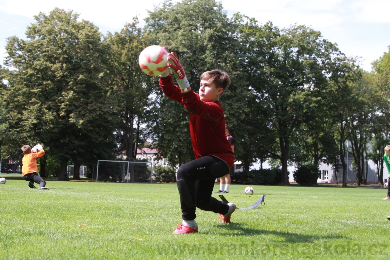 BFŠJCH - Léto 2019 - 7.8.2019